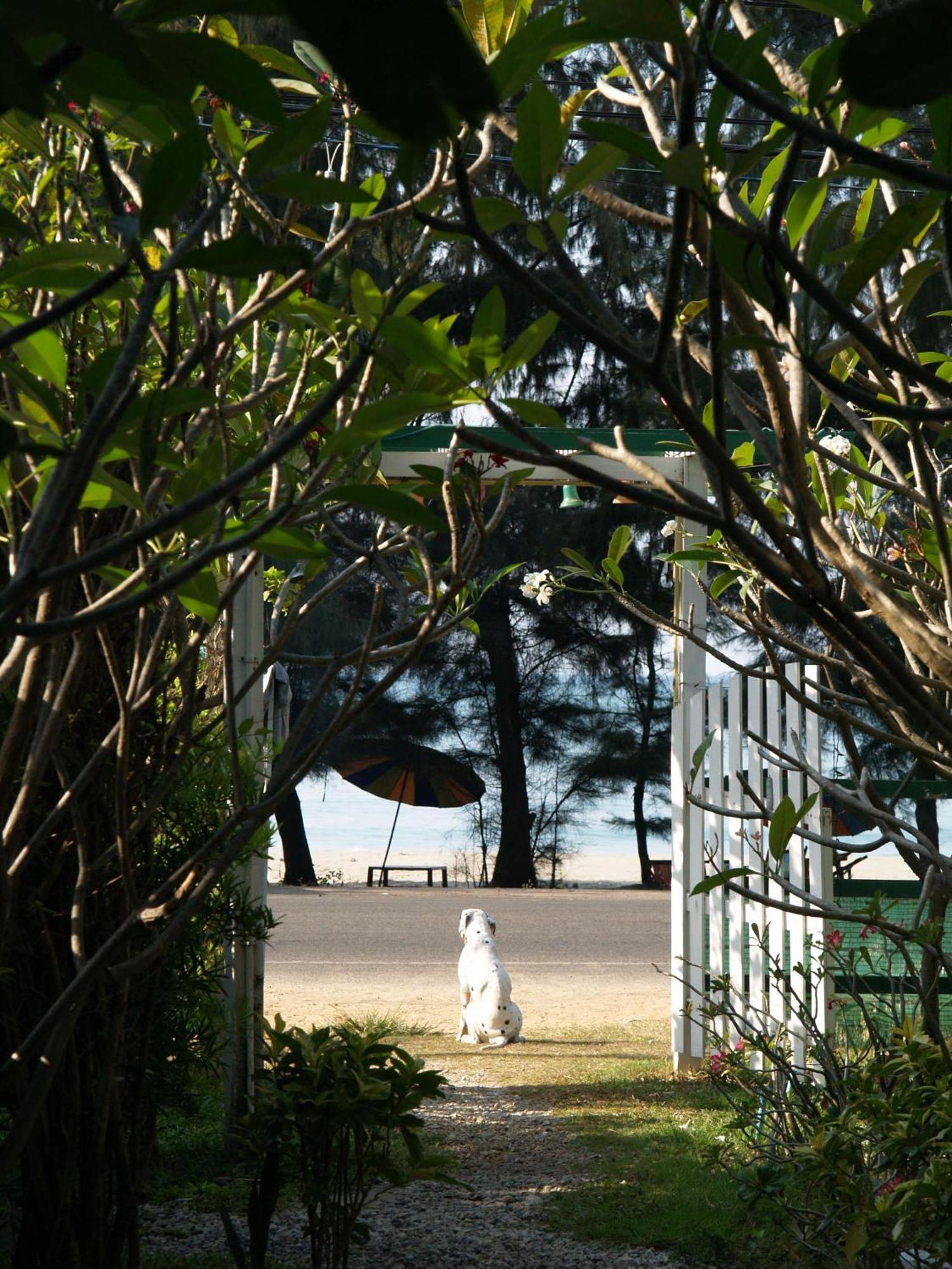 Makmai Villa - Rayong Kültér fotó